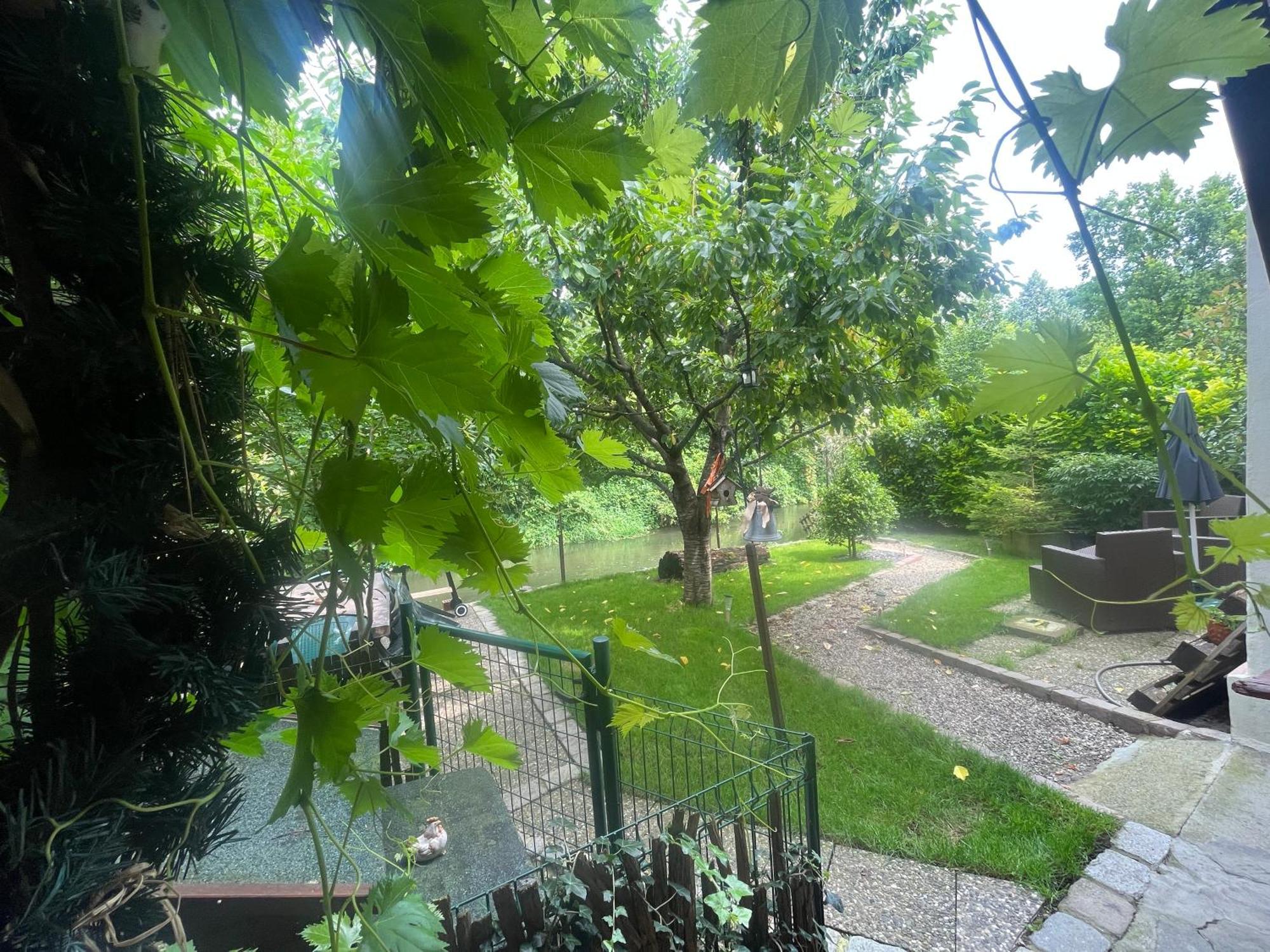 Entre ville&campagne  Plobsheim Esterno foto